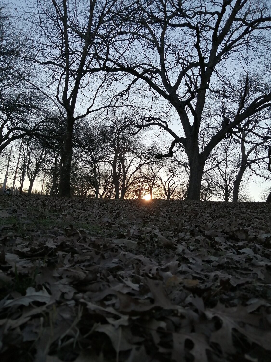 Photo #5660519