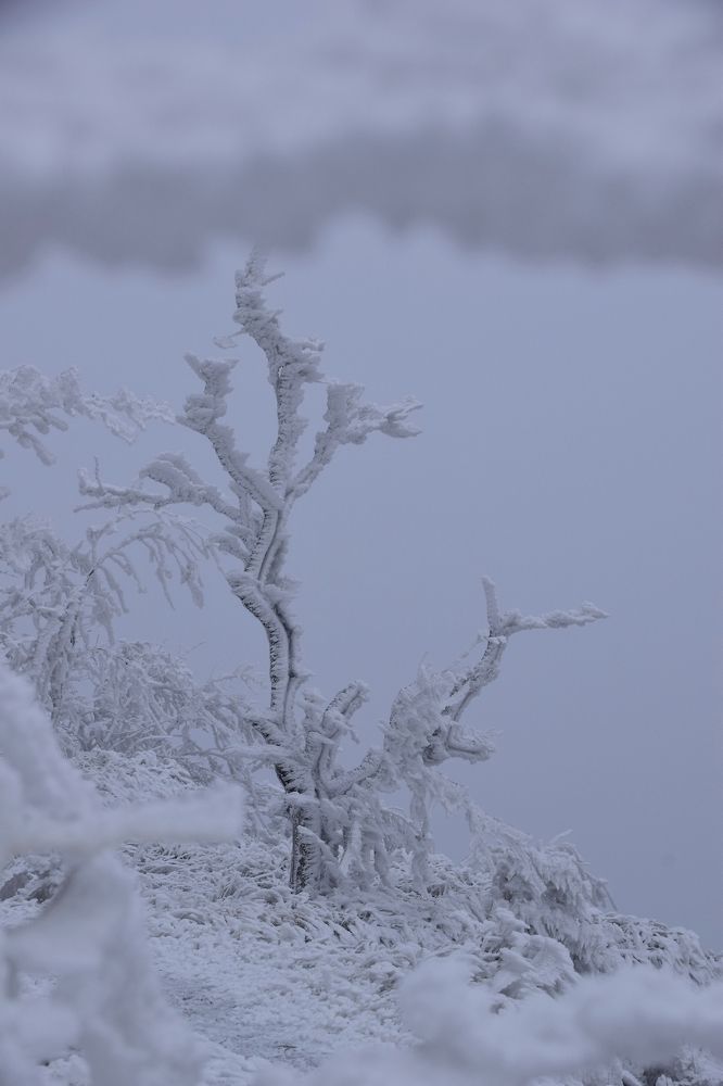 Photograph by Александр