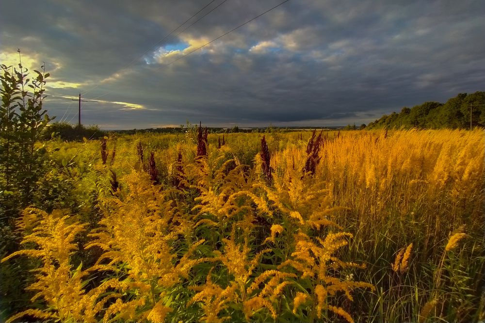 Photograph by Светлана Кондрашова