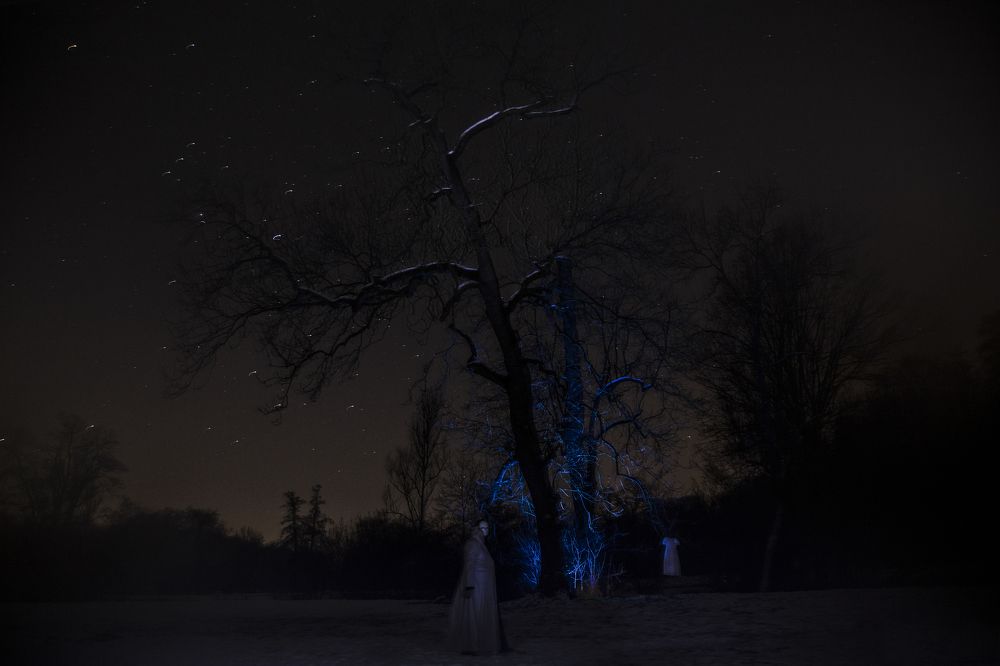 Photograph by Mahsa Nejadfallah