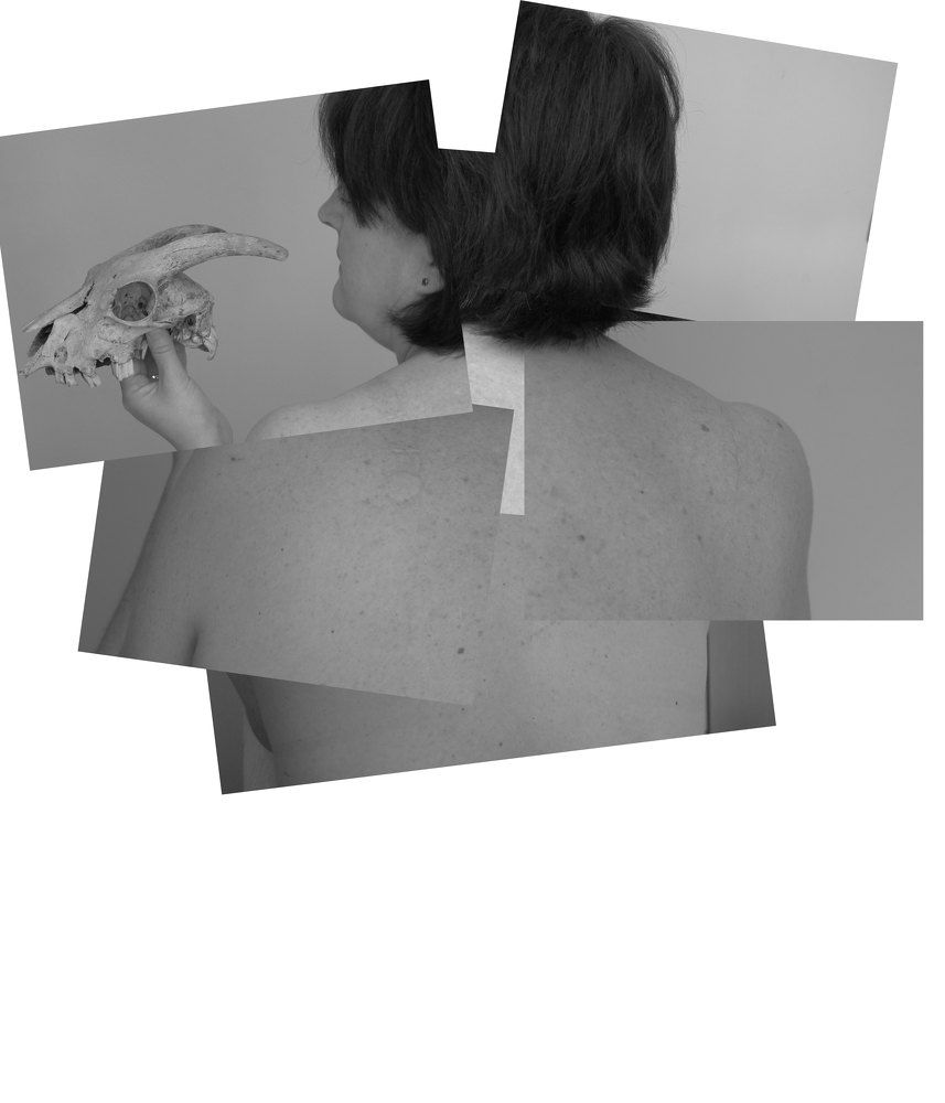 My experimental self