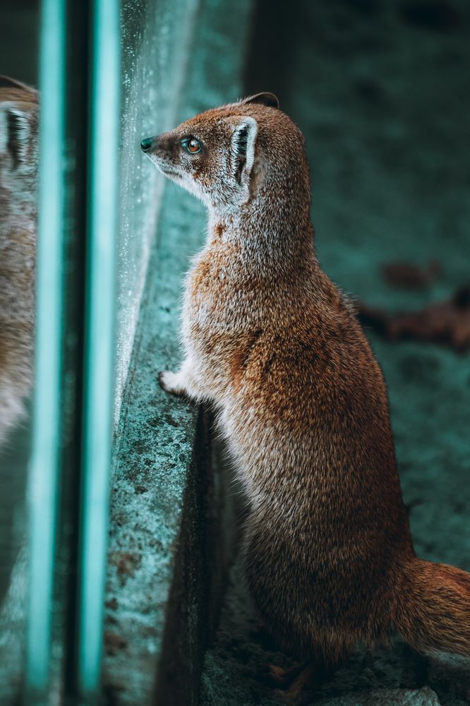 Photograph by Natalia Myrhorodska