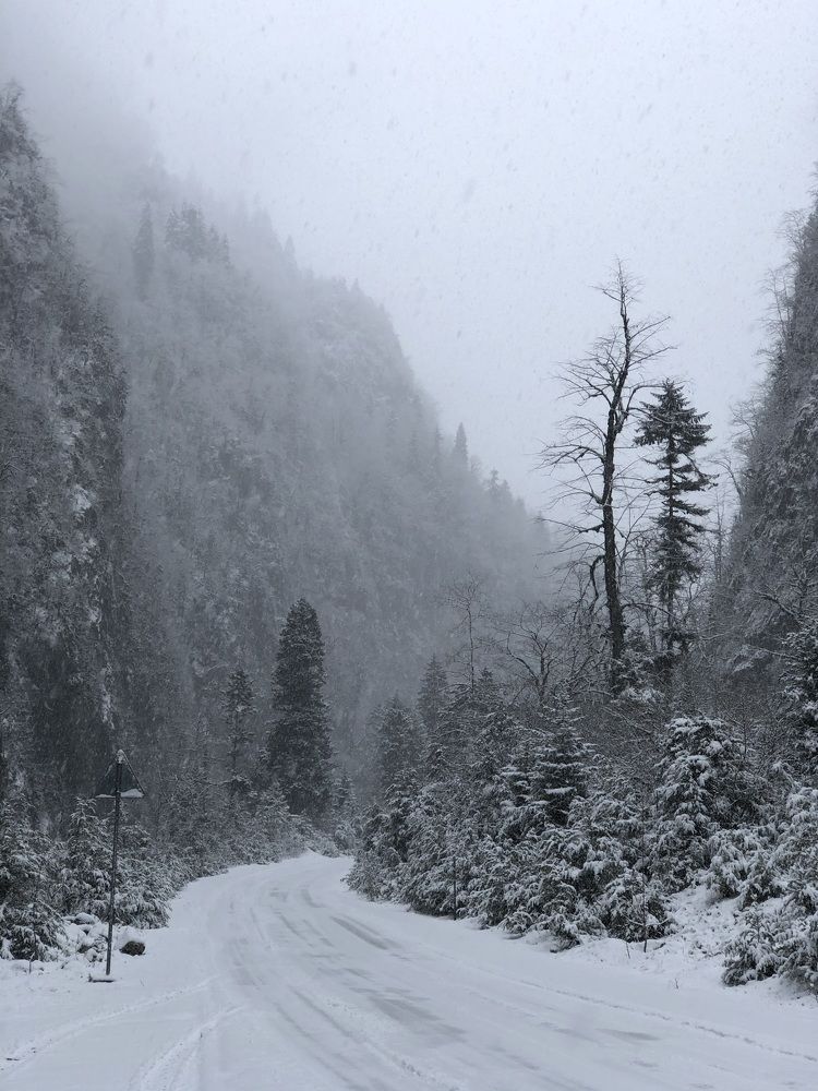 In searching of winter mood