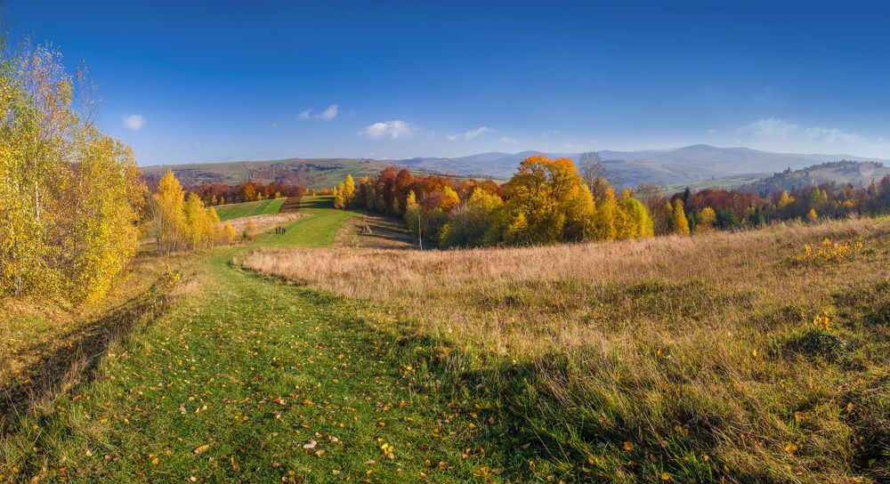 Photograph by Sofiya Hunchyk