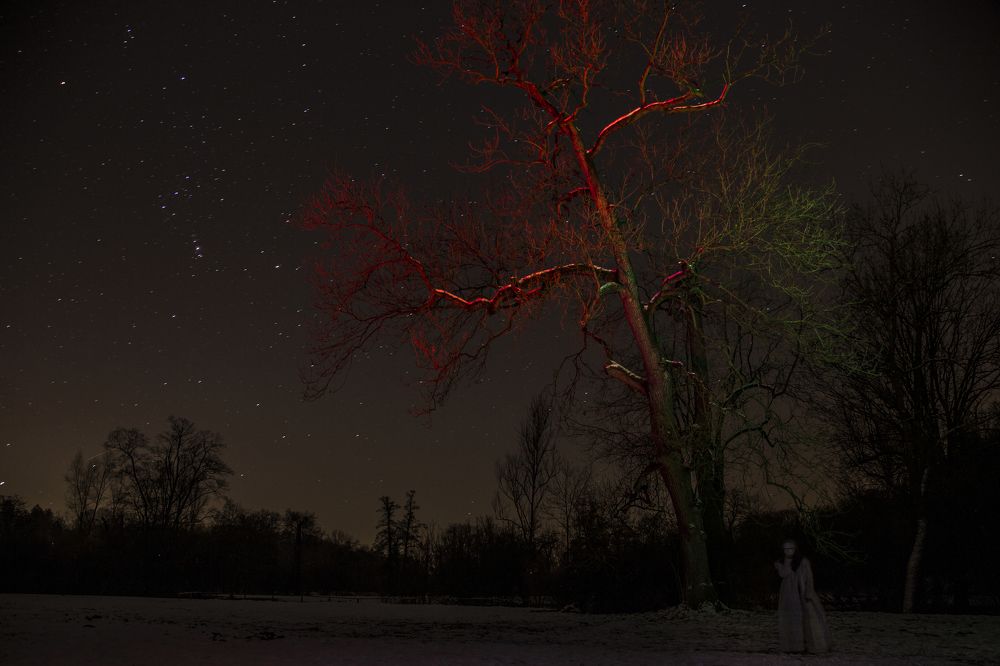 Photograph by Mahsa Nejadfallah