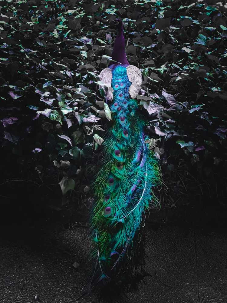 Photograph by Ricardo Calle