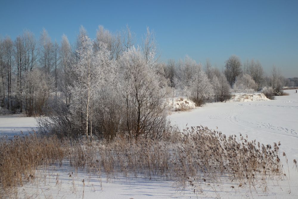 Photograph by Светлана Богомолова