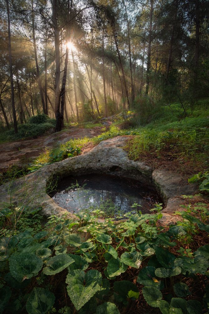 Photograph by Alex Savenok