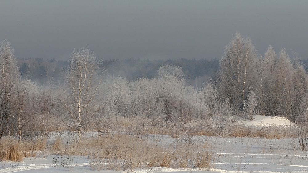 Photograph by Светлана Богомолова