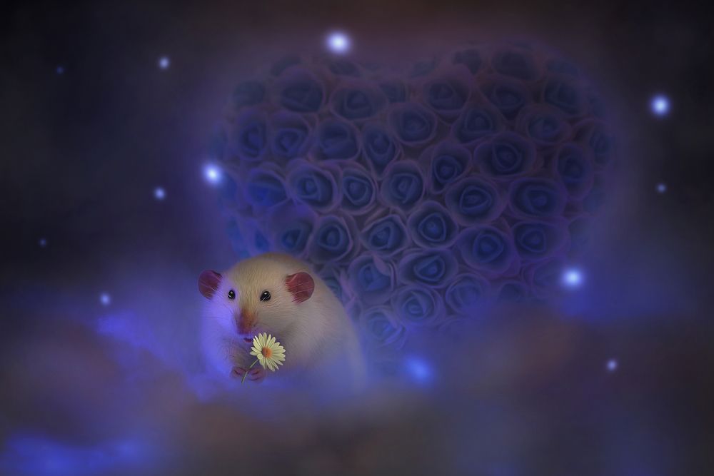 Photograph by Татьяна Носова