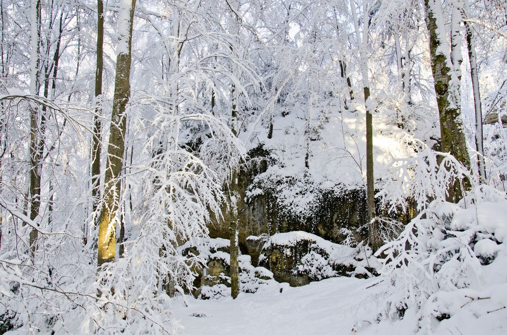 Photograph by Константин Ефимов