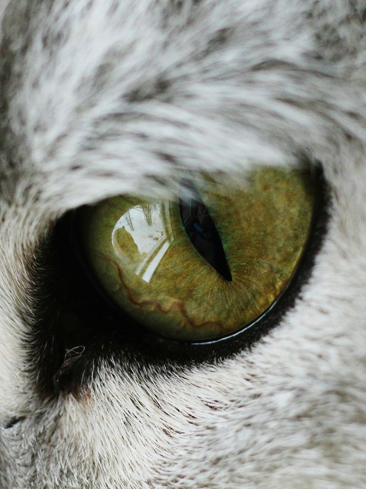 Photograph by Светлана Богомолова