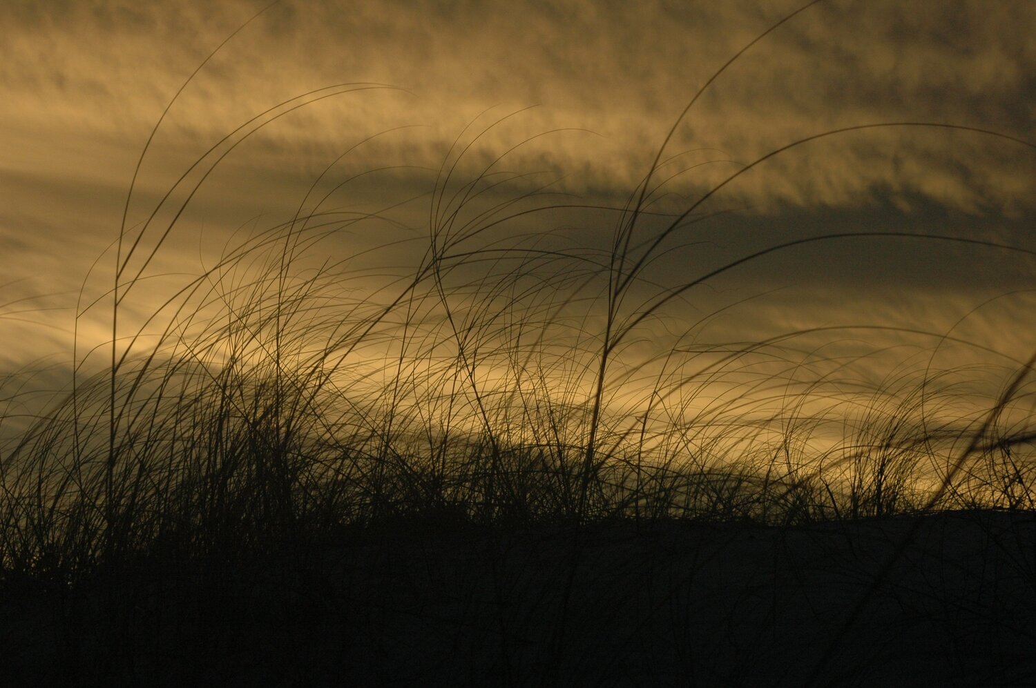 Photo #5661032