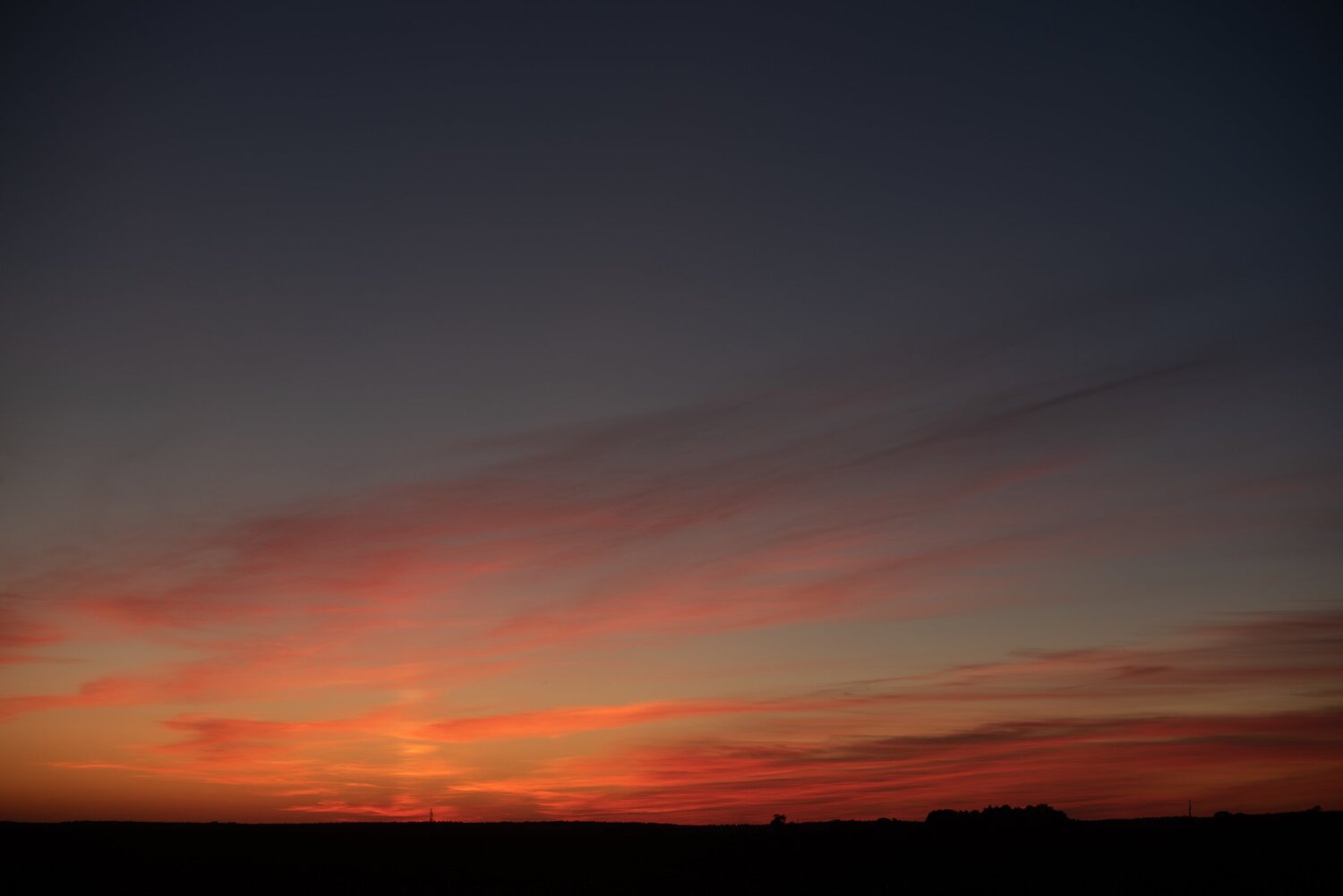 Photo #5661044