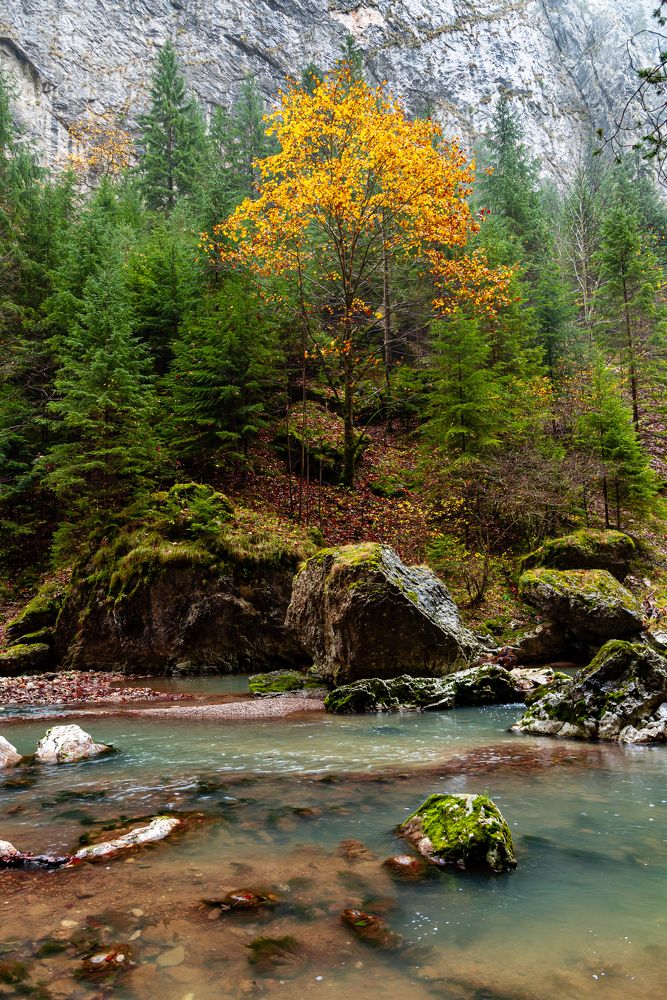 Photograph by Borviz Attila