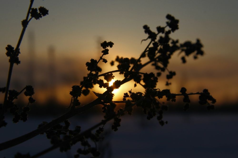 Сквозь тени