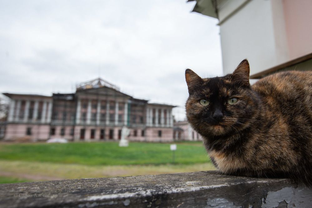 Photograph by Александр Салов