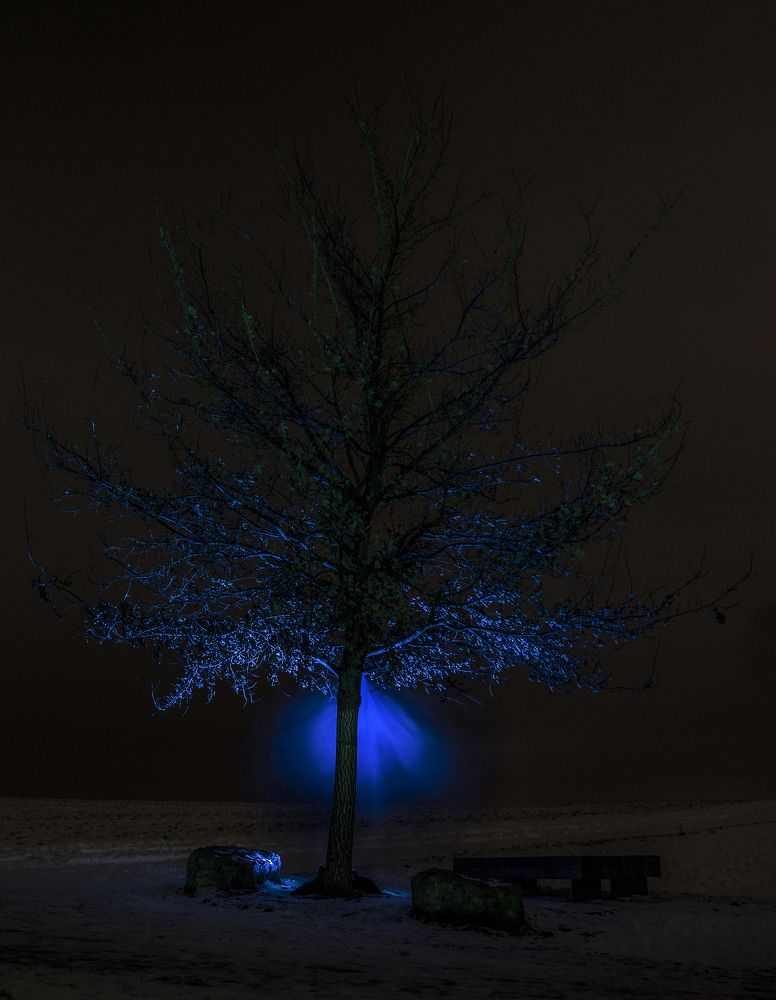 Photograph by Mahsa Nejadfallah