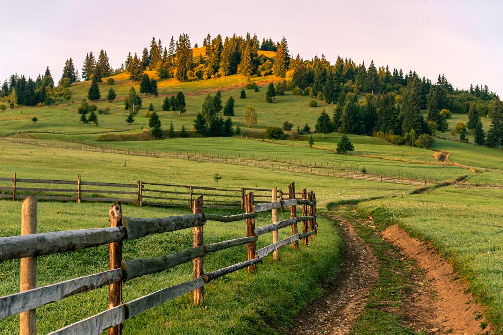 Photograph by Borviz Attila