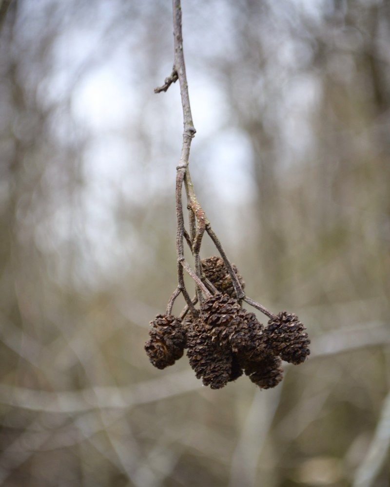 Photograph by Светлана Мазурова