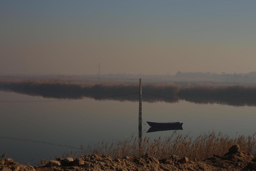 Photograph by Mahsa Nejadfallah