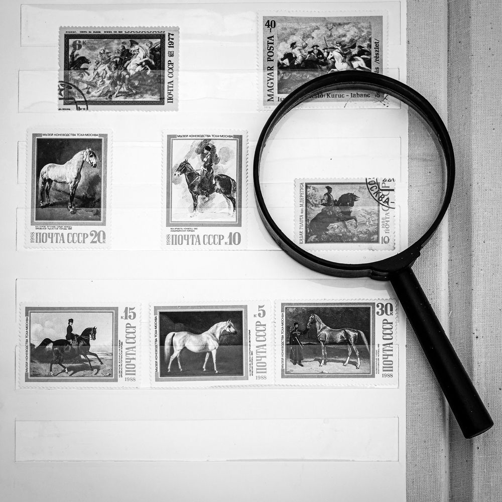 Photograph by Олег Архипов