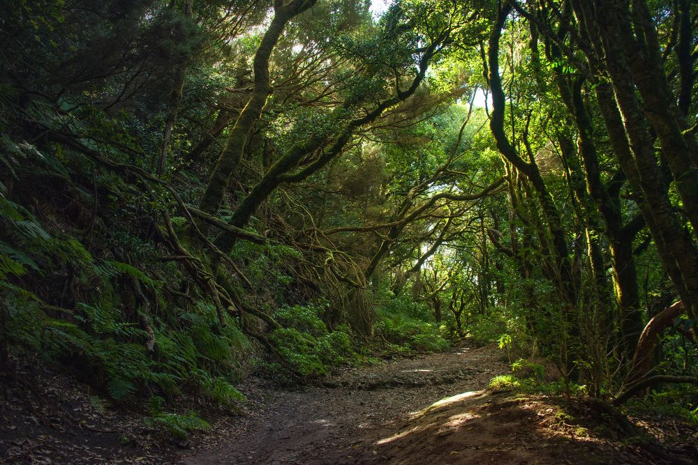 Photograph by Sofiya Hunchyk