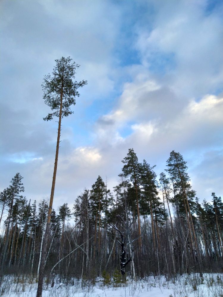 Photograph by Владимир Толстолетов