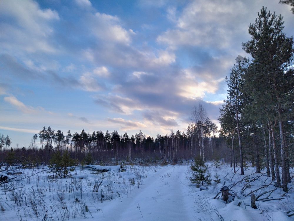 Photograph by Владимир Толстолетов