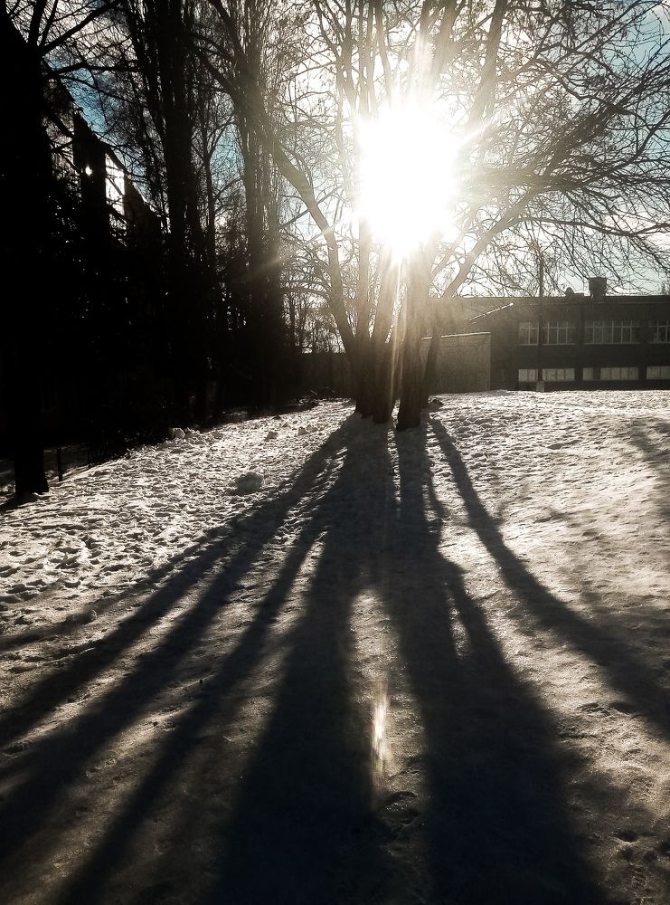 Photograph by Ольга Истомина