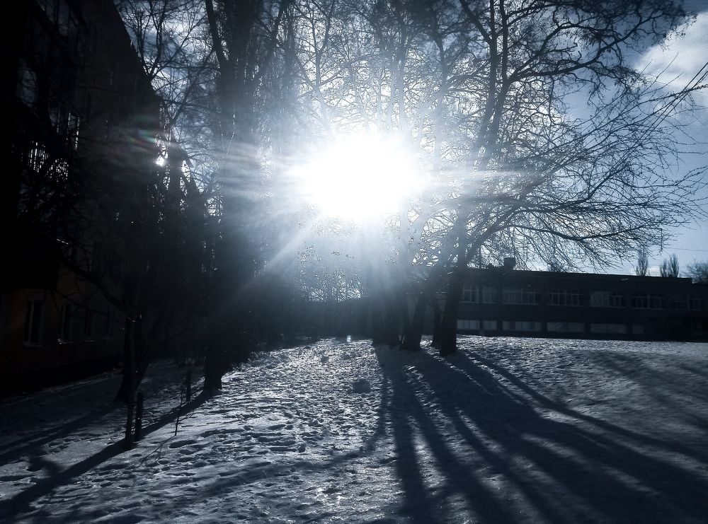 Photograph by Ольга Истомина