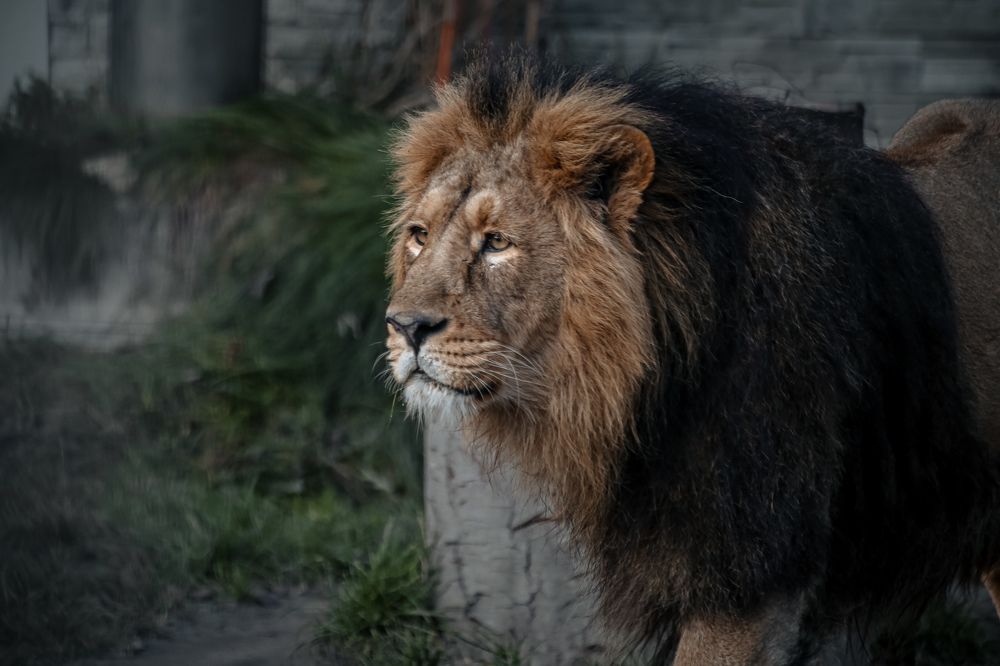 Photograph by Natalia Myrhorodska