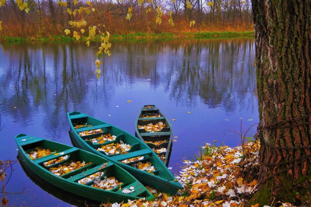 Перевозчики осени