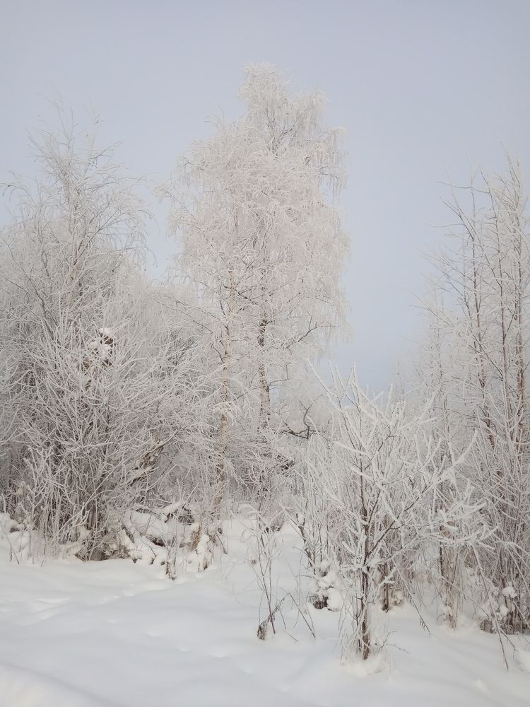 Photograph by Любовь Шаврина