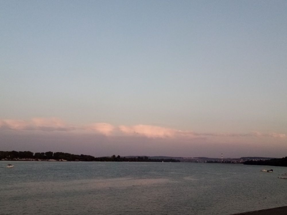 Photo #5661537