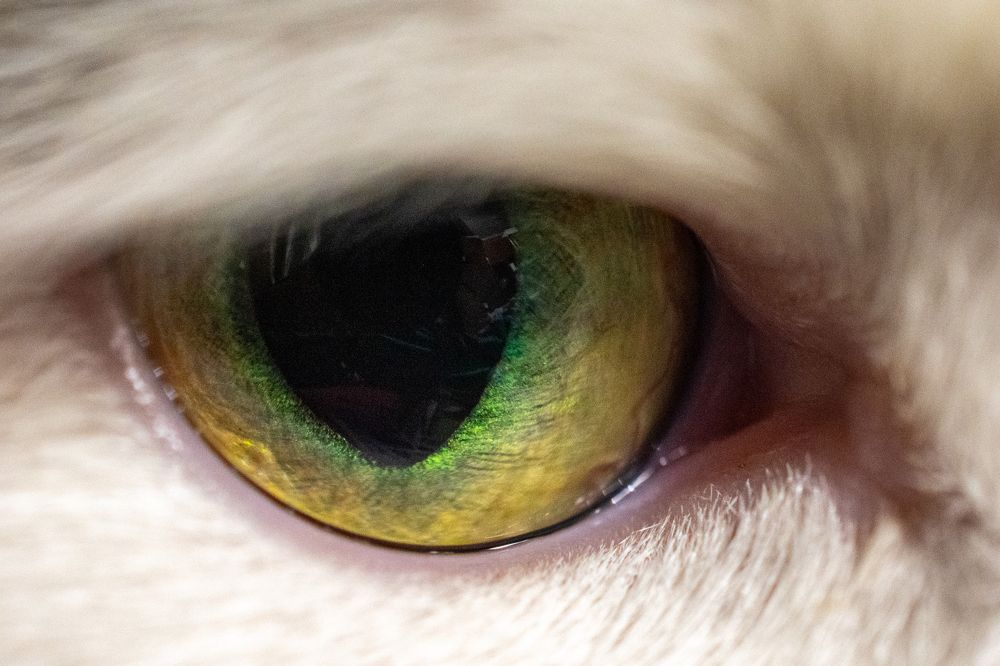 Photograph by Юлия Боровкова