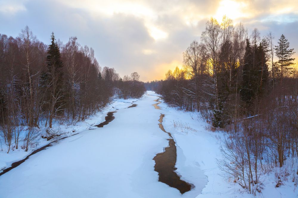 Photograph by Nika Litus