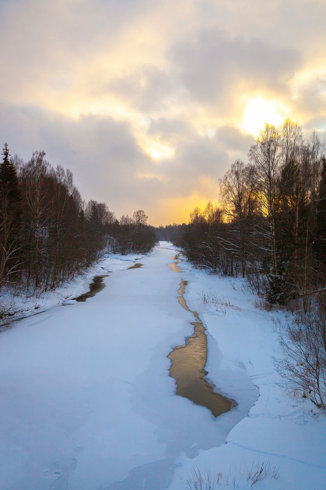 Photograph by Nika Litus