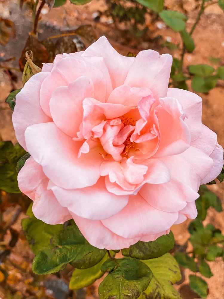 Photograph by Yelena Yakubov