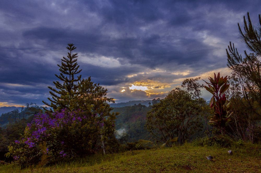 Photograph by Alejandro Fernandez