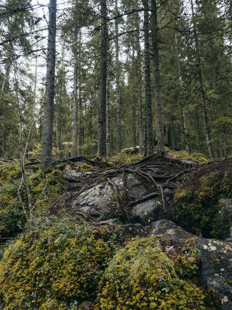 Photograph by Наталья Буракова