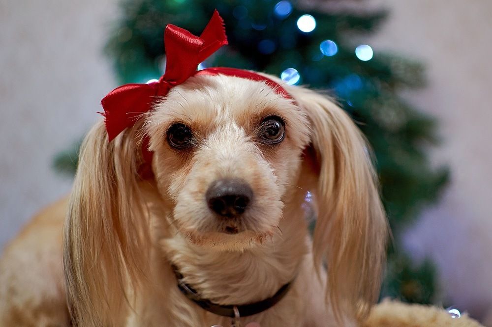 Photograph by Натали Раш