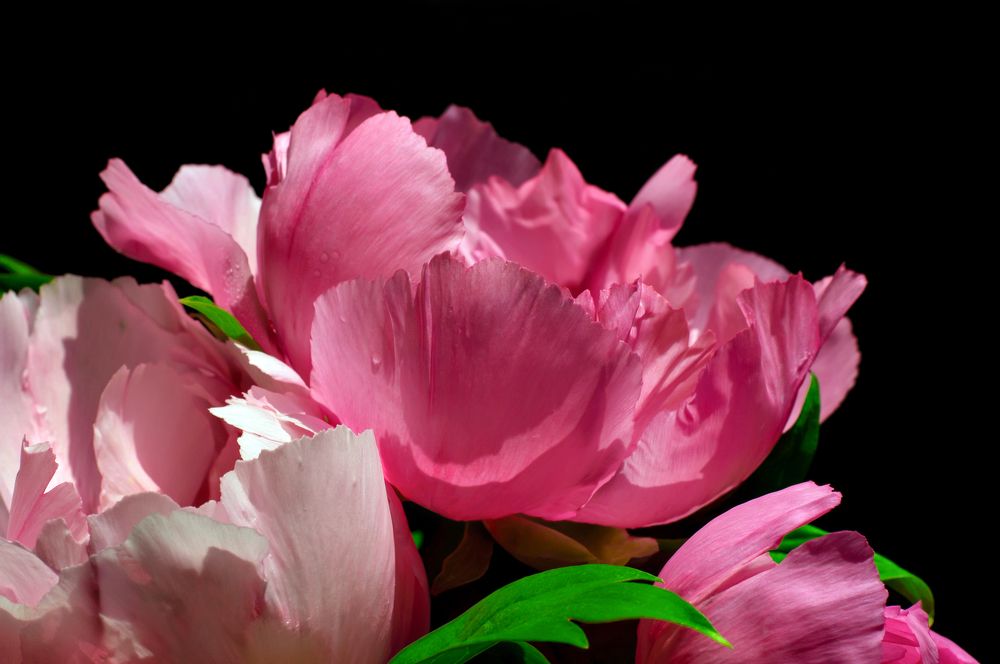 Photograph by Мария Фролова