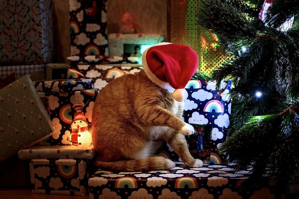 Photograph by Натали Раш