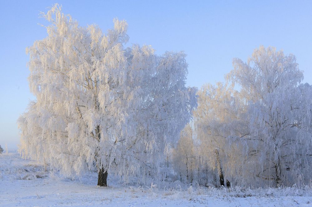 Фотография автора Рамиль Фаттахов