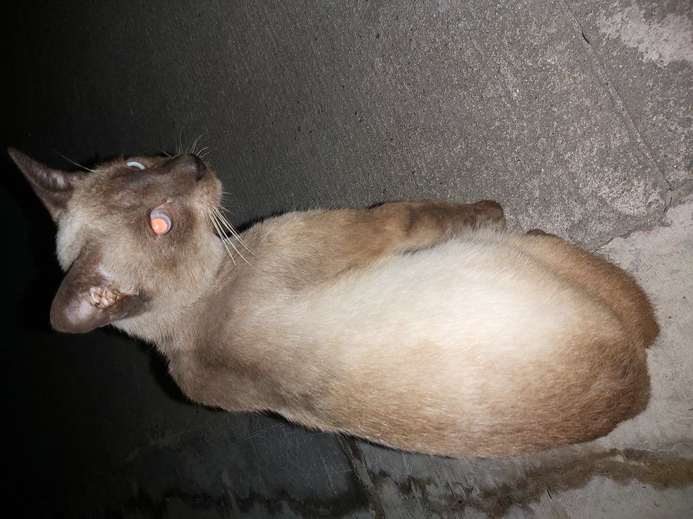 Photo #5661940