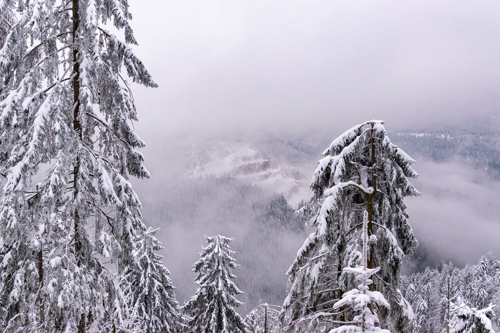 Зимняя сказка