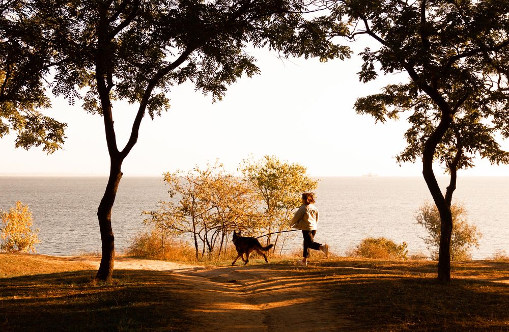 Photograph by Никита Самолюк