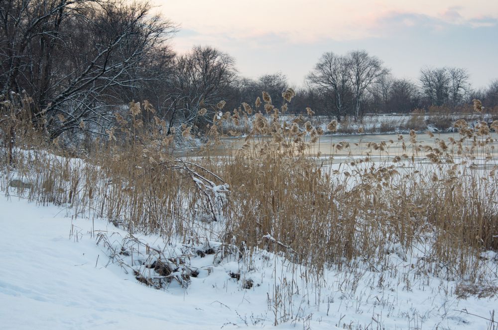 Photograph by Наталья Подмогильная