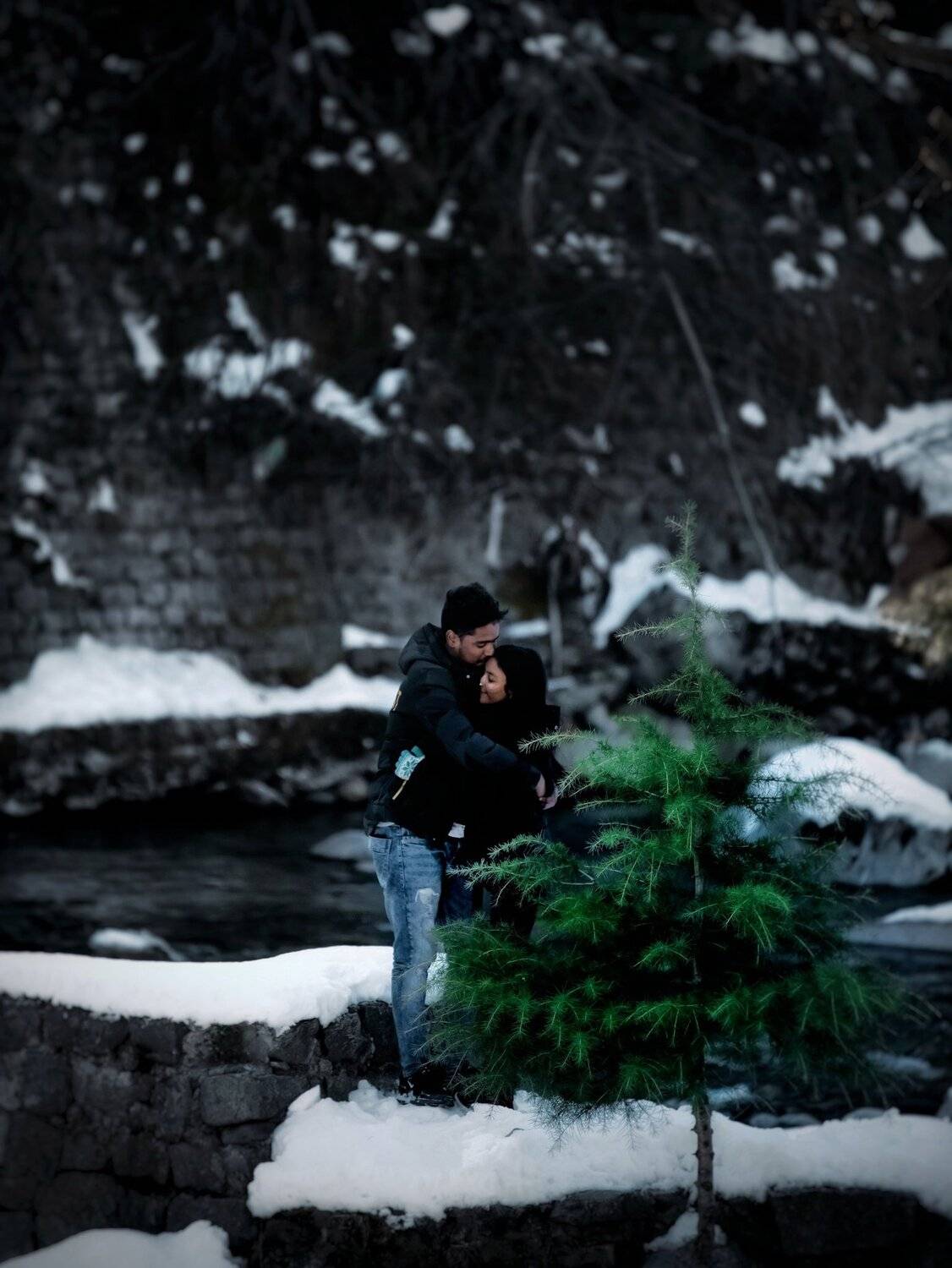 Photo #5662030